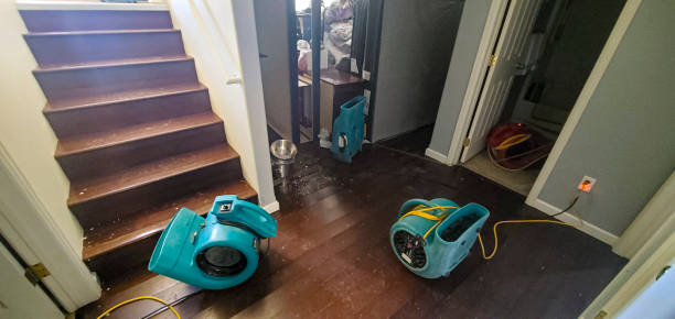 Best Carpet water damage restoration  in Shallowater, TX