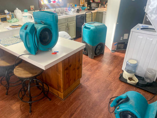 Best Ceiling water damage repair  in Shallowater, TX