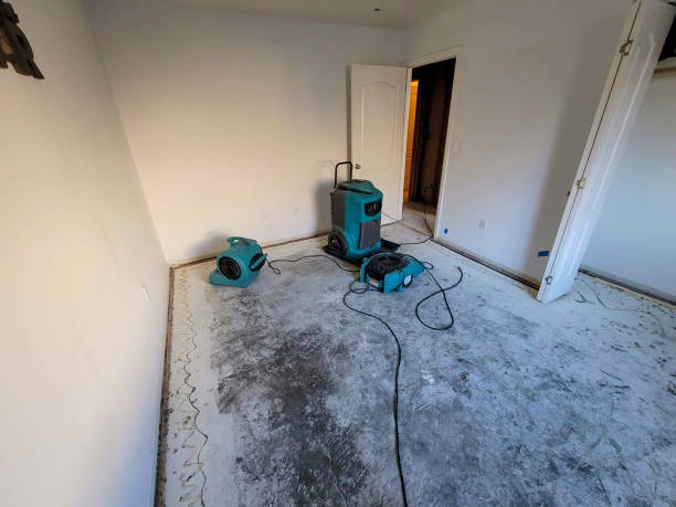 Best Local water damage restoration  in Shallowater, TX
