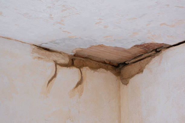 Best Water damage restoration insurance claims  in Shallowater, TX