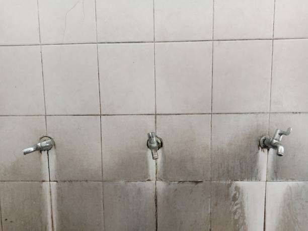 Best Water damage contractors near me  in Shallowater, TX