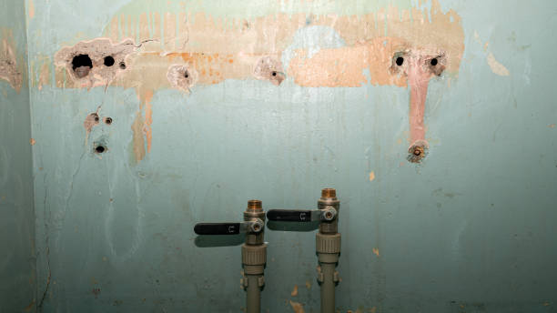 Best Commercial water damage restoration  in Shallowater, TX